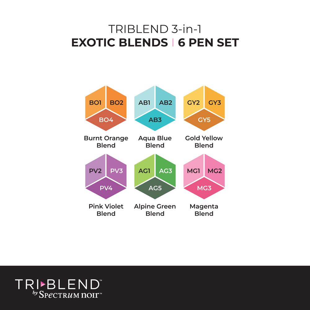 TriBlend 6 PC Marker Set by Spectrum Noir - Exotic Blends
