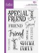 Crafters Companion Photopolymer Stamp - Special Friend