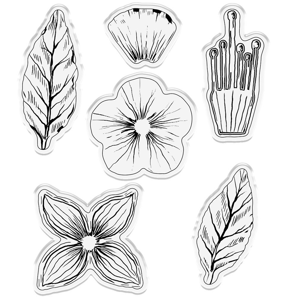 Gemini Decoupage Flower Stamp and Die - Fabulous Fuchsia
