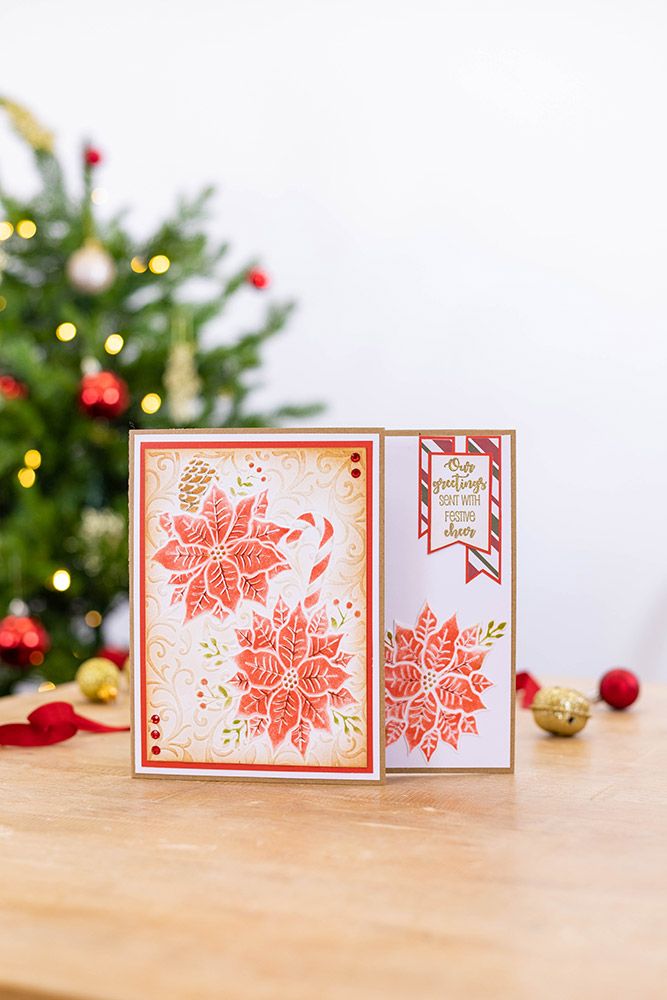 Gemini 3D Embossing Folder & Stencil - Precious Poinsettias